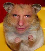 Greg Geffner - Hamster Running Wheels